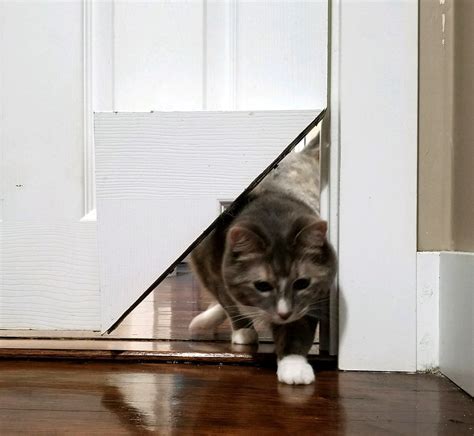 Corner Door Cat Door